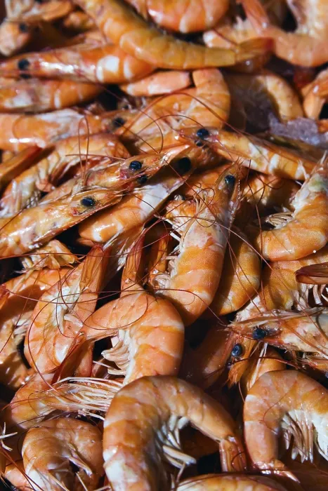 Gerahmter Druck : Gamberetti Shrimps Gerahmter Druck : Gamberetti Shrimps