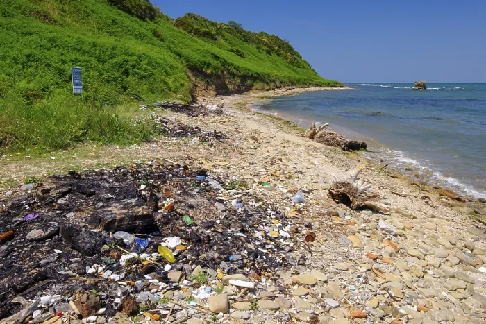 Gerahmter Druck : Müll auf der Strand, Kap Rodon.