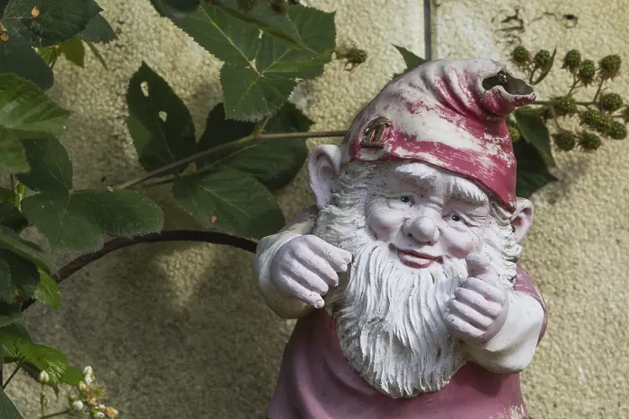 Gerahmter Druck : Gartenzwerge