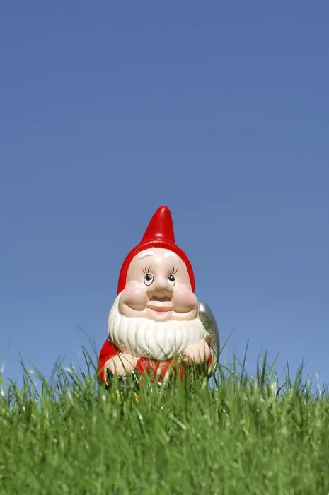 Gerahmter Druck : Gartenzwerge Gerahmter Druck : Gartenzwerge