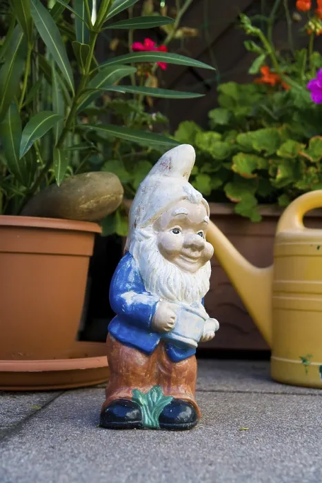 Gerahmter Druck : Gartenzwerg Gerahmter Druck : Gartenzwerg