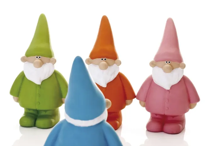 Gerahmter Druck : Vier Garten-Gnommen Gerahmter Druck : Vier Garten-Gnommen