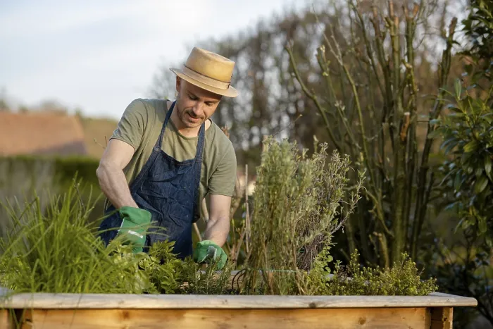 Gerahmter Druck : Gardener Gerahmter Druck : Gardener