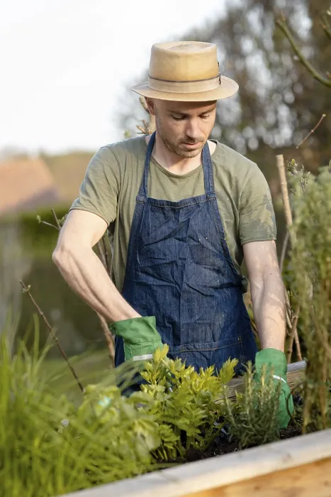 Gerahmter Druck : Gardener Gerahmter Druck : Gardener