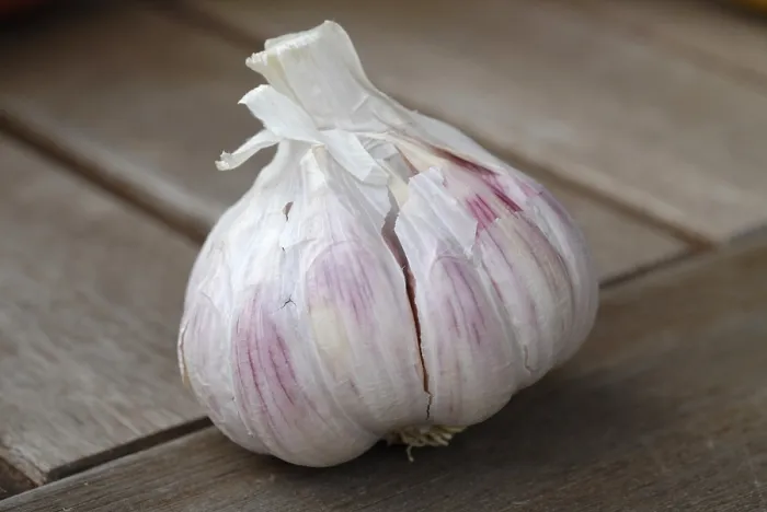 Gerahmter Druck : Garlic Gerahmter Druck : Garlic