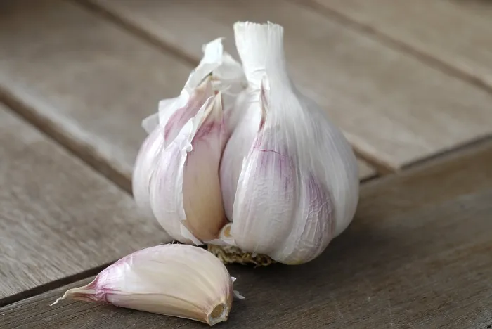 Gerahmter Druck : Garlic Gerahmter Druck : Garlic