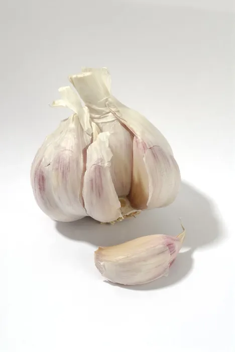 Gerahmter Druck : Garlic Gerahmter Druck : Garlic