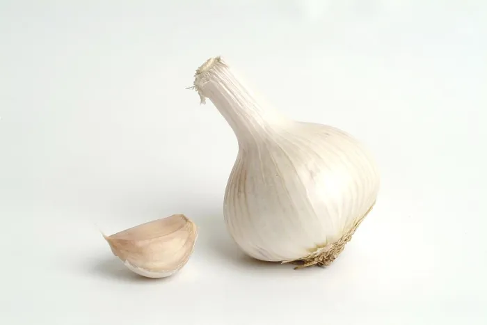 Gerahmter Druck : Garlic Gerahmter Druck : Garlic
