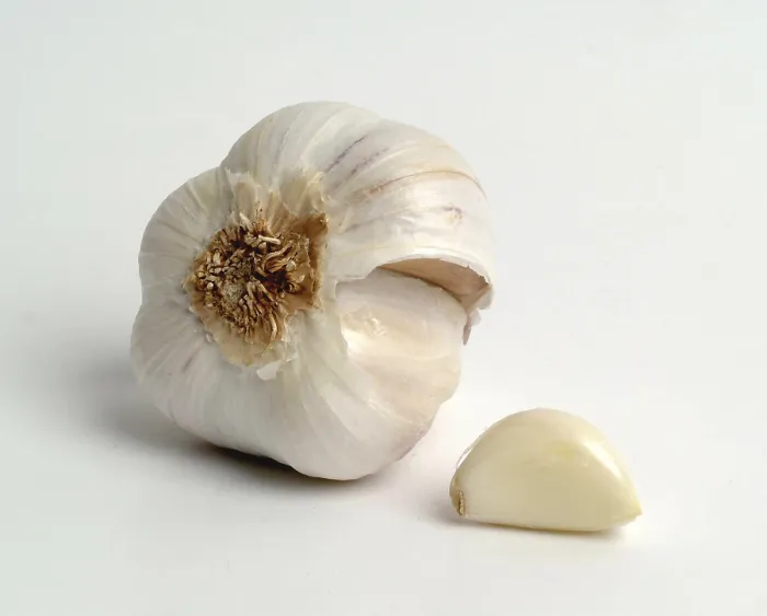 Gerahmter Druck : Garlic Gerahmter Druck : Garlic