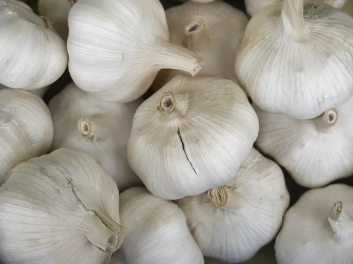 Gerahmter Druck : Garlic Gerahmter Druck : Garlic