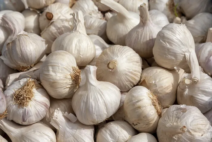 Gerahmter Druck : Knoblauchzehen Gerahmter Druck : Knoblauchzehen