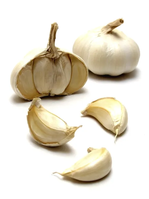 Gerahmter Druck : Knoblauchzehen Gerahmter Druck : Knoblauchzehen