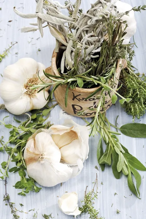 Gerahmter Druck : Knoblauch mit Kräutern. Gerahmter Druck : Knoblauch mit Kräutern.