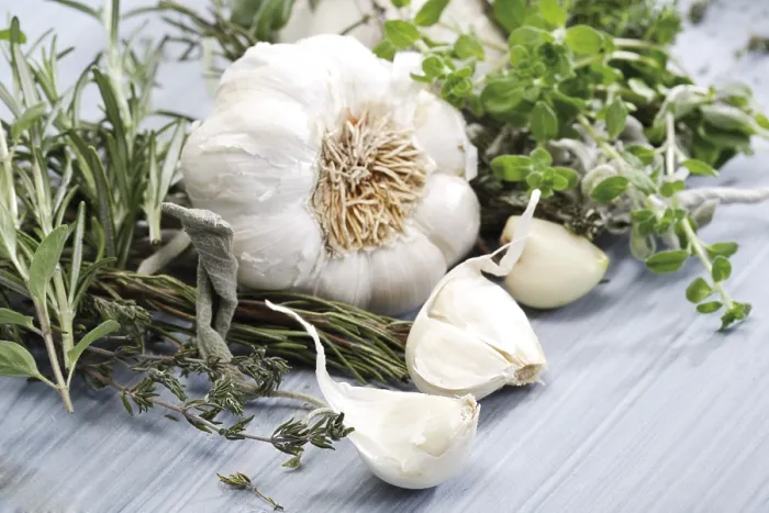Gerahmter Druck : Knoblauch mit Kräutern. Gerahmter Druck : Knoblauch mit Kräutern.