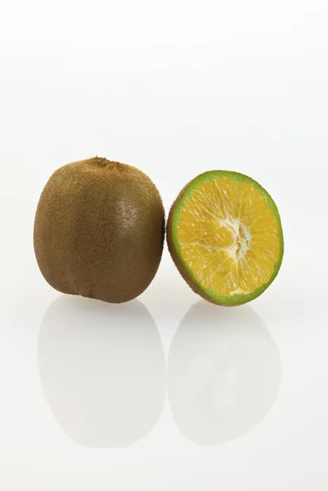 Gerahmter Druck : Genetisch veränderter Kiwi. Gerahmter Druck : Genetisch veränderter Kiwi.