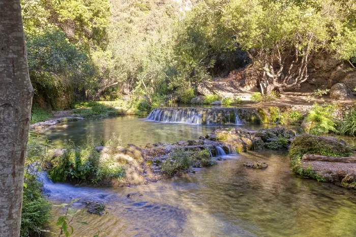 Gerahmter Druck : Sanfte Wasserfall an einem Fluss umgeben von Bäumen. Gerahmter Druck : Sanfte Wasserfall an einem Fluss umgeben von Bäumen.