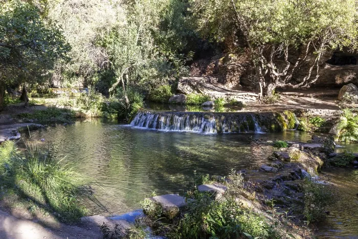 Gerahmter Druck : Sanfte Wasserfall an einem Fluss, umgeben von Bäumen. Gerahmter Druck : Sanfte Wasserfall an einem Fluss, umgeben von Bäumen.
