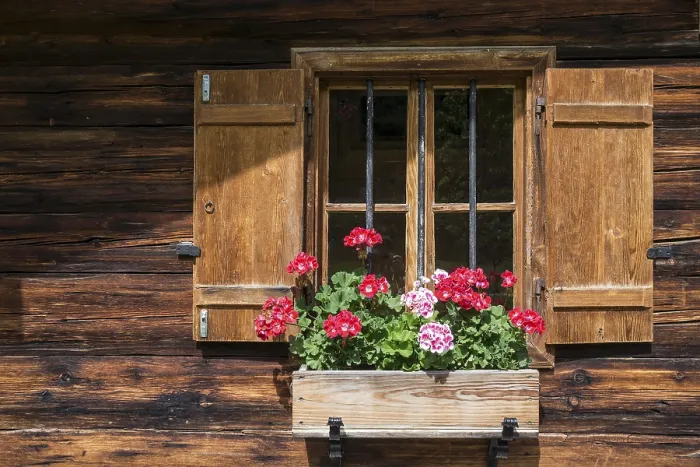 Gerahmter Druck : Geraniums am Fenster eines Bauernhauses. Gerahmter Druck : Geraniums am Fenster eines Bauernhauses.