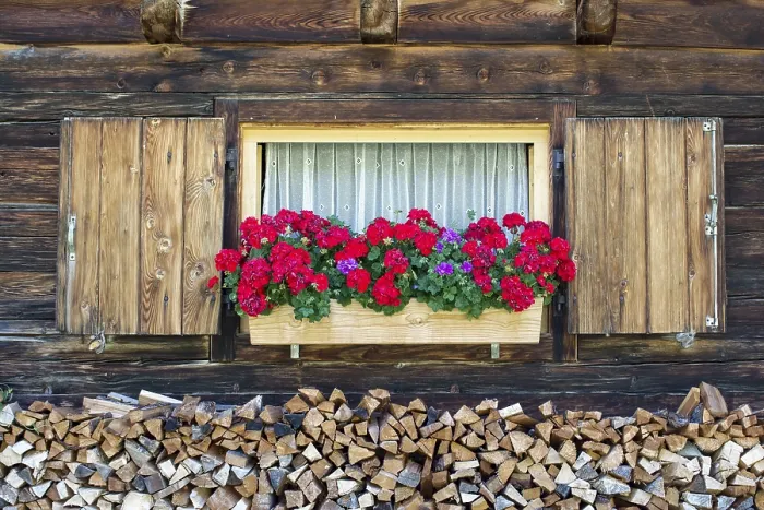 Gerahmter Druck : Geraniums vor dem Fenster einer Berghütte.
