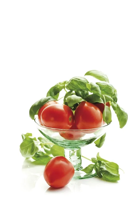 Gerahmter Druck : Deutsche Tomaten mit Basilikum. Gerahmter Druck : Deutsche Tomaten mit Basilikum.