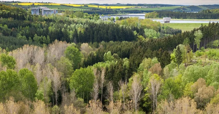 Gerahmter Druck : Deutschland, Greiz, Thüringen, Weidatal Gerahmter Druck : Deutschland, Greiz, Thüringen, Weidatal