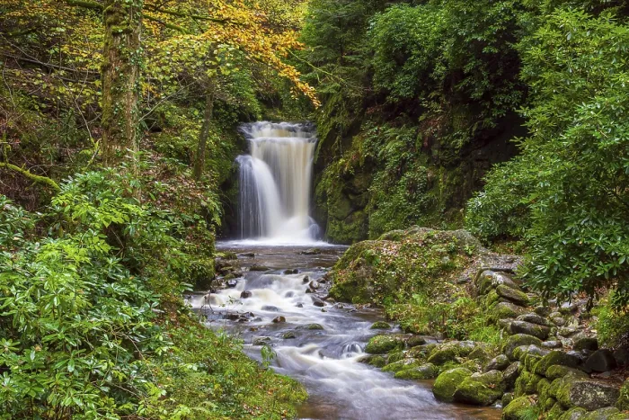 Gerahmter Druck : Geroldsauer Wasserfall, Grobbach-Fluss Gerahmter Druck : Geroldsauer Wasserfall, Grobbach-Fluss