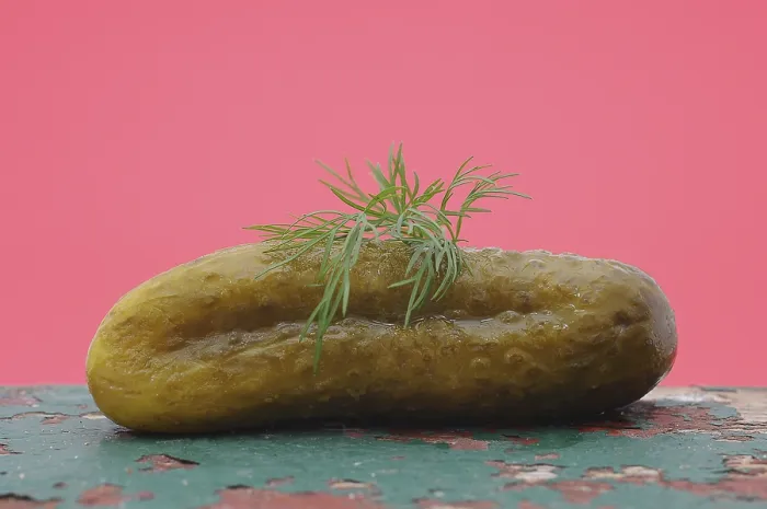 Gerahmter Druck : Ein Gurke mit Dill. Gerahmter Druck : Ein Gurke mit Dill.