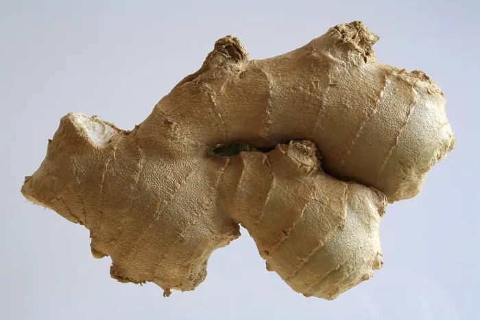 Gerahmter Druck : Ginger Gerahmter Druck : Ginger