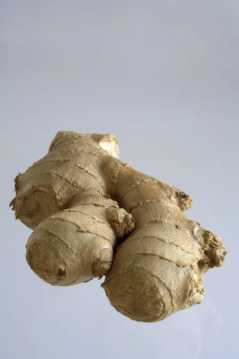 Gerahmter Druck : Ginger Gerahmter Druck : Ginger