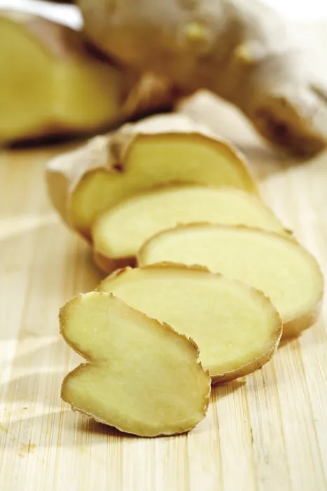 Gerahmter Druck : Ginger Gerahmter Druck : Ginger