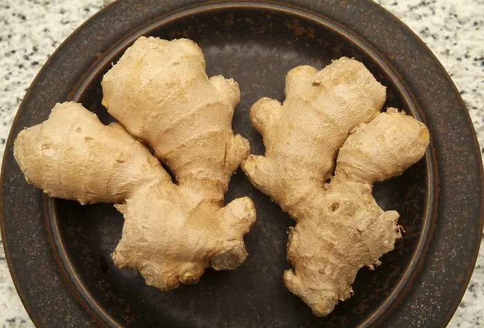 Gerahmter Druck : Ginger Gerahmter Druck : Ginger