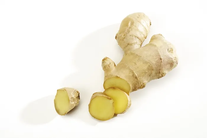 Gerahmter Druck : Zingiber officinale Gerahmter Druck : Zingiber officinale