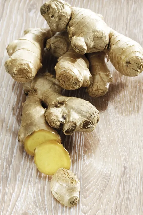 Gerahmter Druck : Ingwer (Zingiber officinale) Gerahmter Druck : Ingwer (Zingiber officinale)