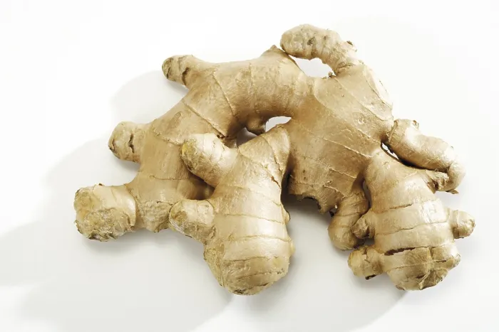 Gerahmter Druck : Ingwer (Zingiber officinale) Gerahmter Druck : Ingwer (Zingiber officinale)