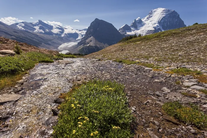 Gerahmter Druck : Gletscherbach vor dem Mount Robson Gerahmter Druck : Gletscherbach vor dem Mount Robson