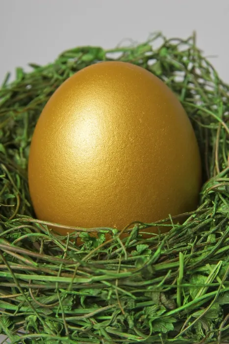 Gerahmter Druck : Goldener Osterei in einem Nest. Gerahmter Druck : Goldener Osterei in einem Nest.