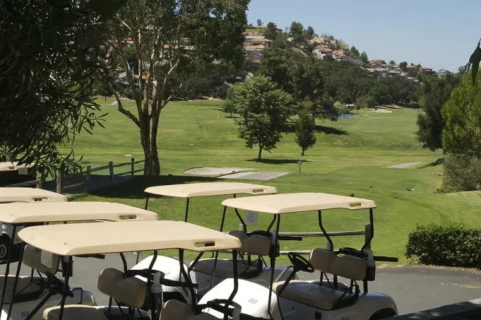 Gerahmter Druck : Golfwägen warten auf dem Golfplatz. Gerahmter Druck : Golfwägen warten auf dem Golfplatz.
