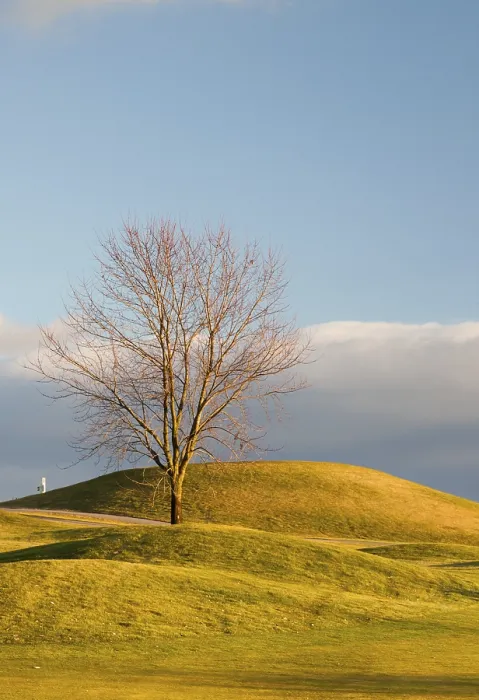 Gerahmter Druck : Auf dem leeren Golfplatz im Herbst. Gerahmter Druck : Auf dem leeren Golfplatz im Herbst.