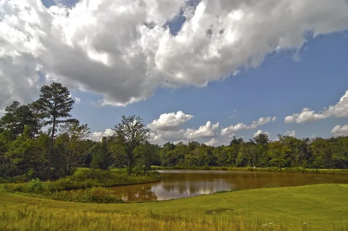 Gerahmter Druck : Golfplatzlandschaft Gerahmter Druck : Golfplatzlandschaft