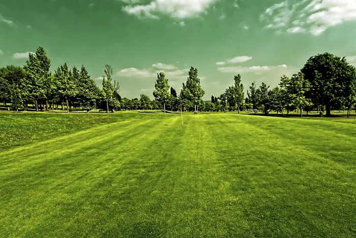 Gerahmter Druck : Golfplatz