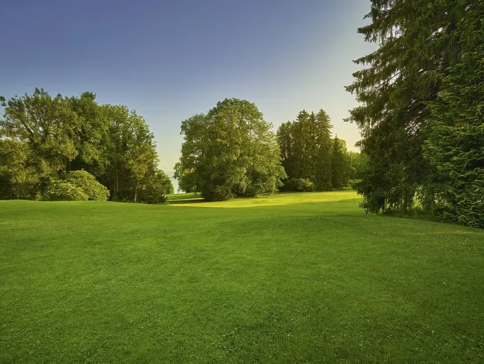 Gerahmter Druck : Golfplatz Gerahmter Druck : Golfplatz