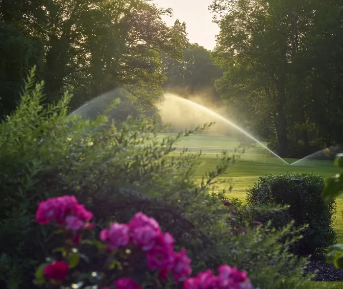 Gerahmter Druck : Golfplatz Gerahmter Druck : Golfplatz