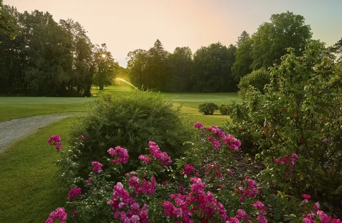 Gerahmter Druck : Golfplatz Gerahmter Druck : Golfplatz