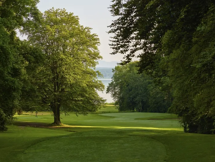 Gerahmter Druck : Golfplatz Gerahmter Druck : Golfplatz