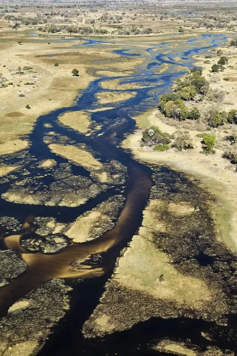 Gerahmter Druck : Der Gomoti-Fluss mit seinen Kanälen. Gerahmter Druck : Der Gomoti-Fluss mit seinen Kanälen.