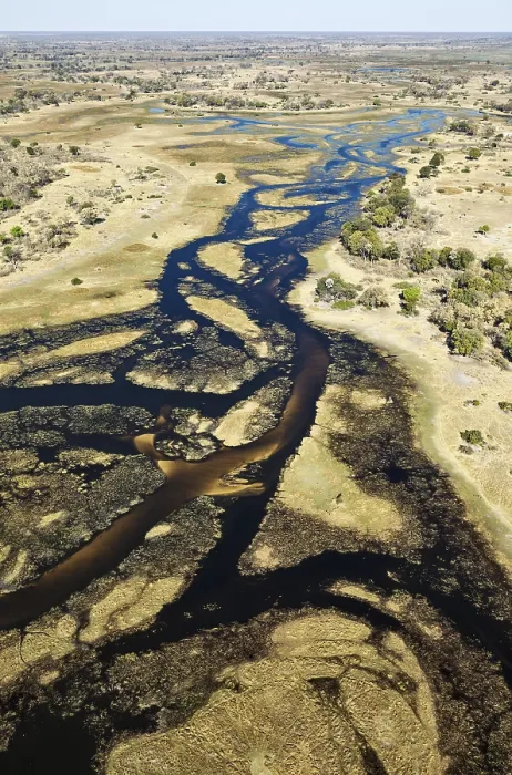 Gerahmter Druck : Der Gomoti-Fluss mit seinen Kanälen. Gerahmter Druck : Der Gomoti-Fluss mit seinen Kanälen.