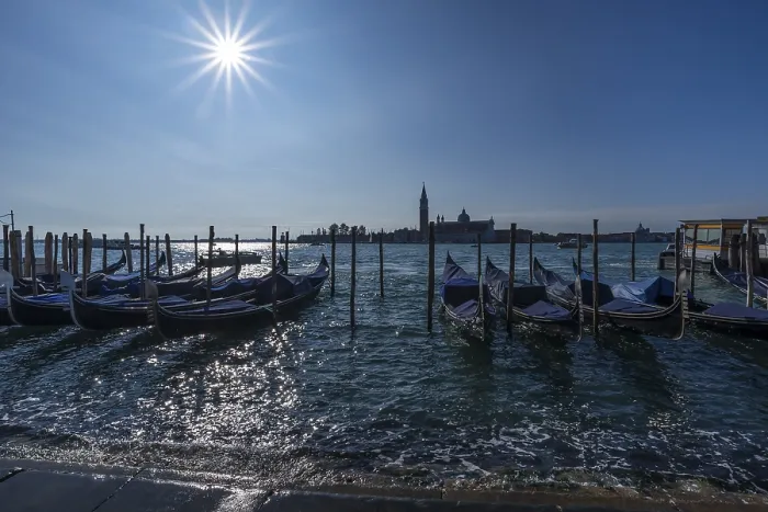Gerahmter Druck : Gondeln vor San Marco Gerahmter Druck : Gondeln vor San Marco