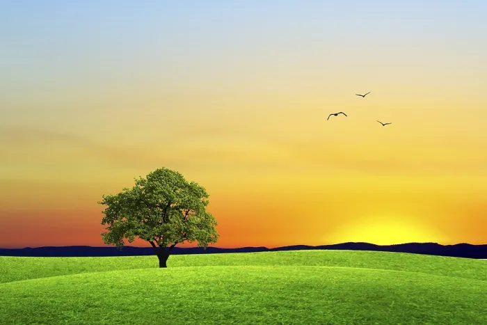 Gerahmter Druck : Abschied vom Sommer. Gerahmter Druck : Abschied vom Sommer.
