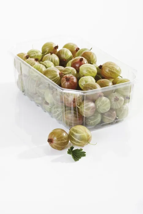 Gerahmter Druck : Gurkenbeeren in einem kleinen Plastikbehälter. Gerahmter Druck : Gurkenbeeren in einem kleinen Plastikbehälter.