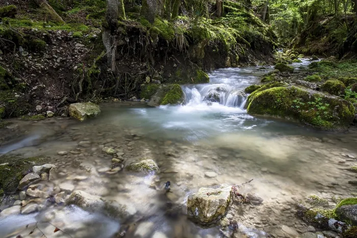 Gerahmter Druck : Schlucht von Perrefitte, kleine Schlucht.